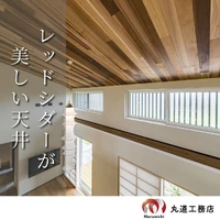 画像497
