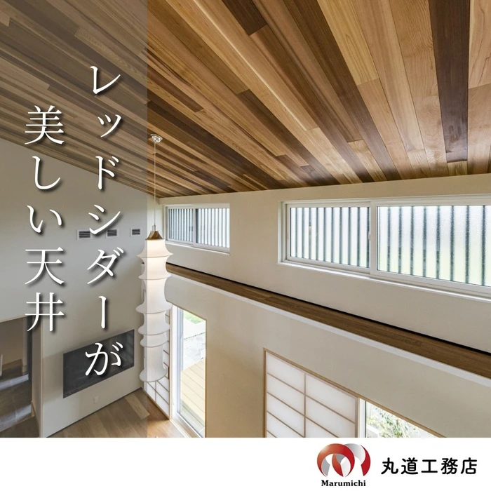 画像497